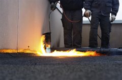 白色屋面、蔚然成风
